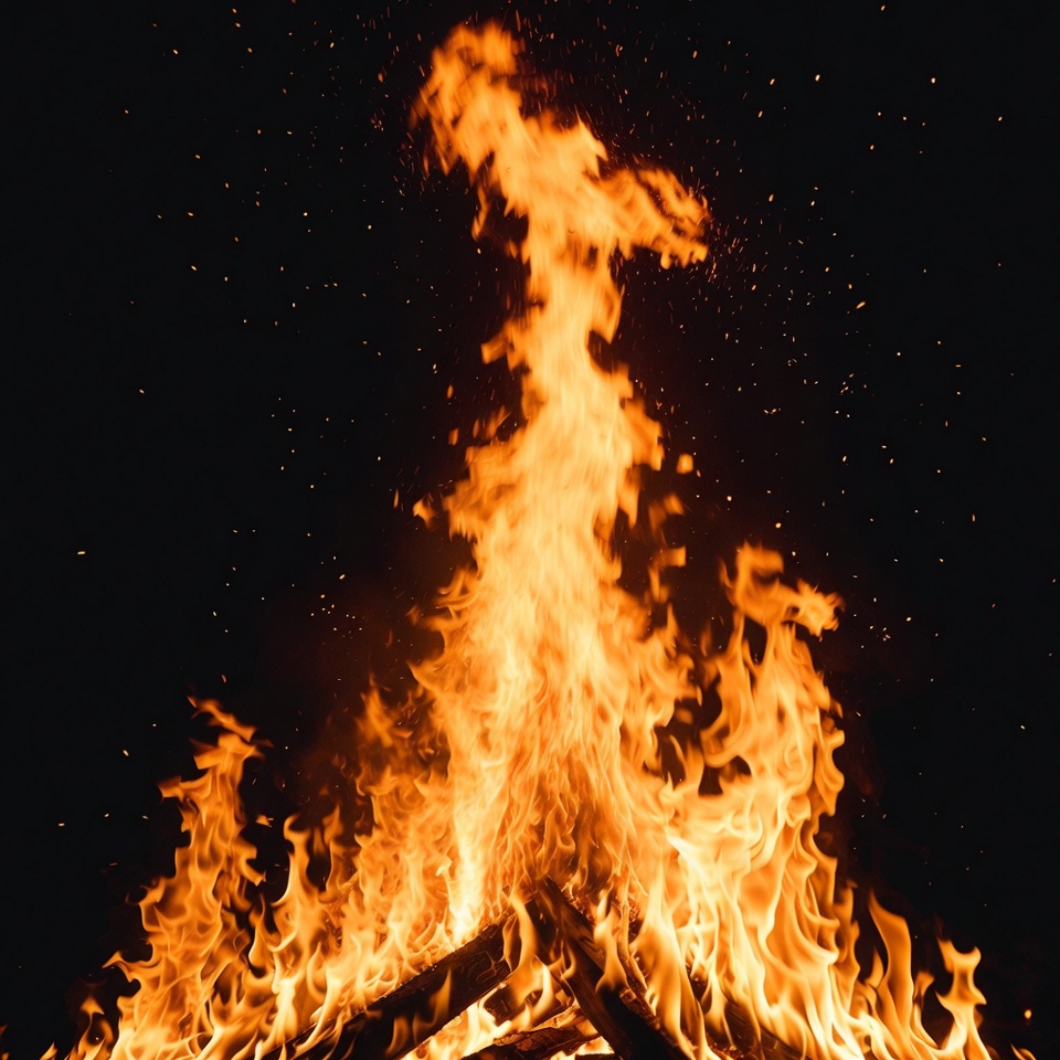 Burning Campfire Flames on Black Background Burning Campfire Flames on Black Background