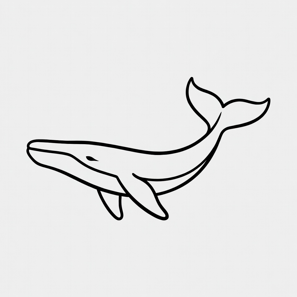 Line drawing of humpback whale Line drawing of humpback whale