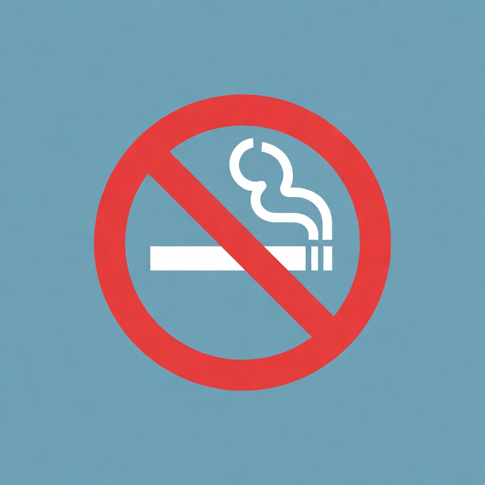 No Smoking Symbol No Smoking Symbol