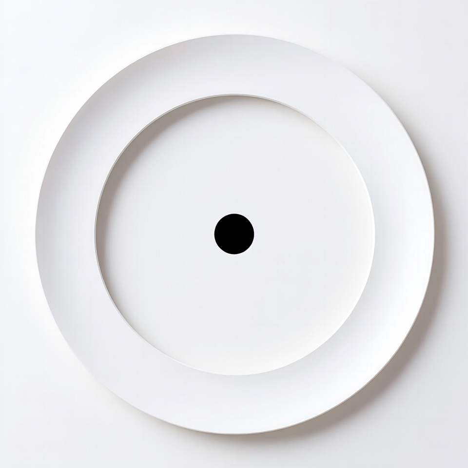 White plate with black dot White plate with black dot