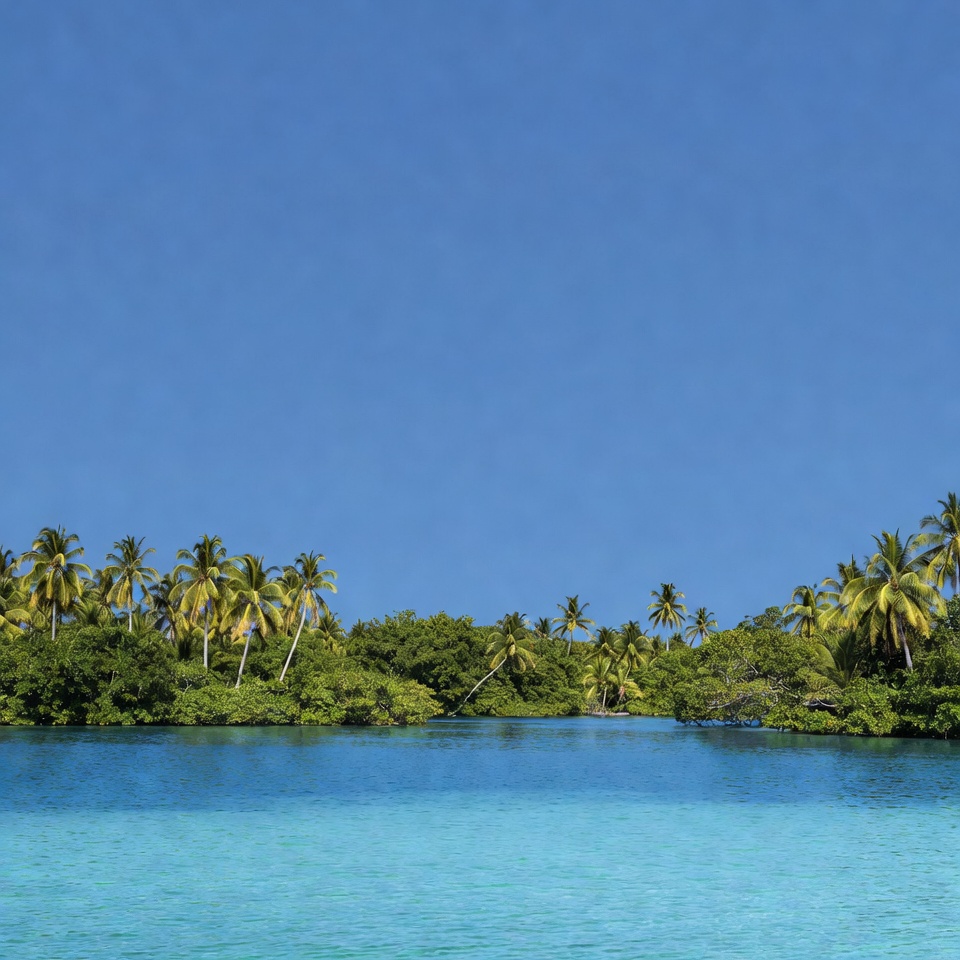 Tropical Lagoon with Palm Trees Tropical Lagoon with Palm Trees
