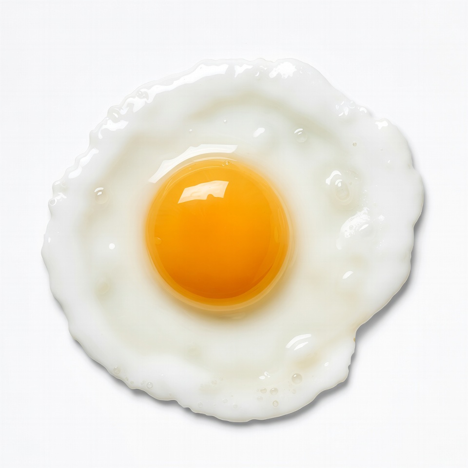 Fried Egg on White Background Fried Egg on White Background