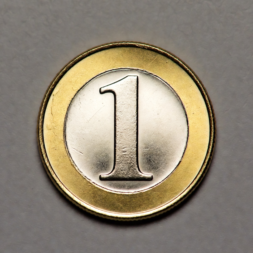 One Euro Coin One Euro Coin