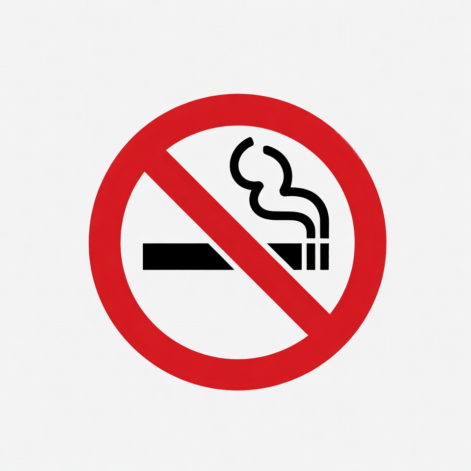 No Smoking Sign No Smoking Sign