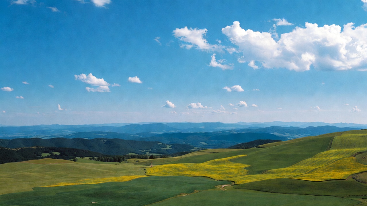 Yellow Flower Fields and Mountains Yellow Flower Fields and Mountains