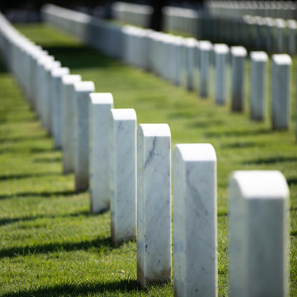 Rows of White Headstones in Grass Rows of White Headstones in Grass