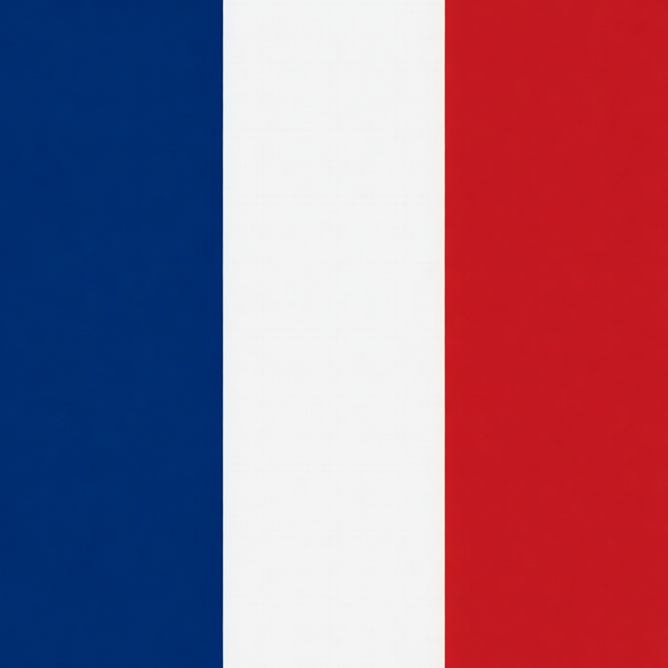 French Flag French Flag