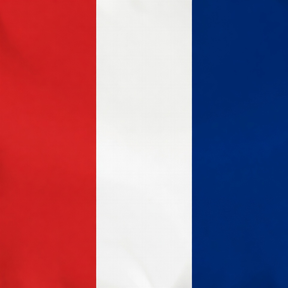 French Flag French Flag