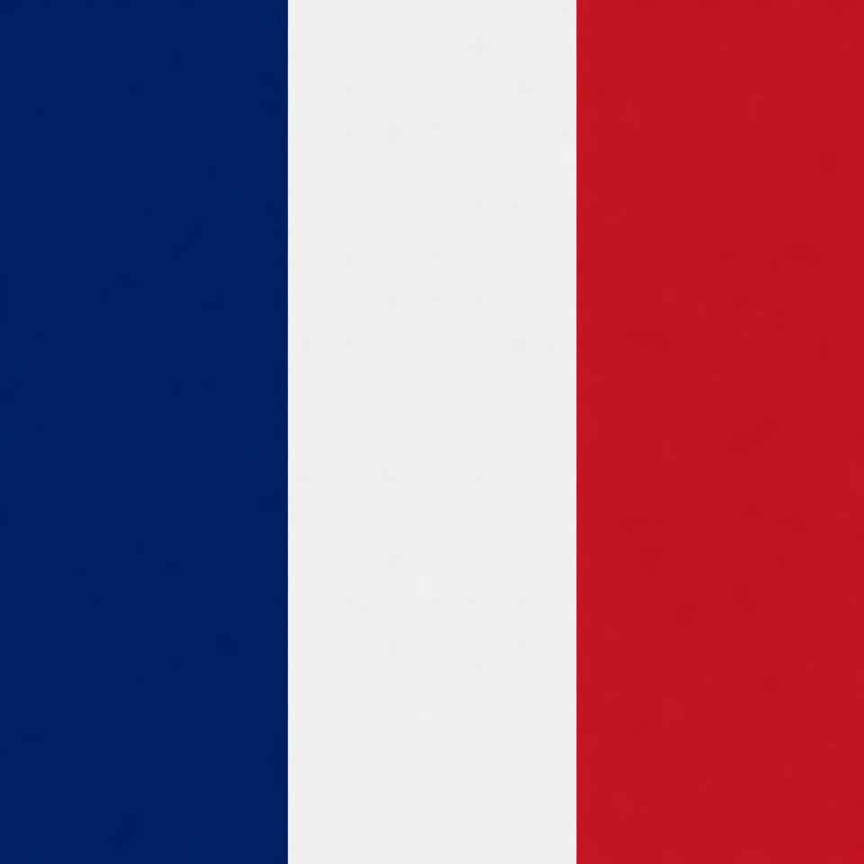 French Flag French Flag