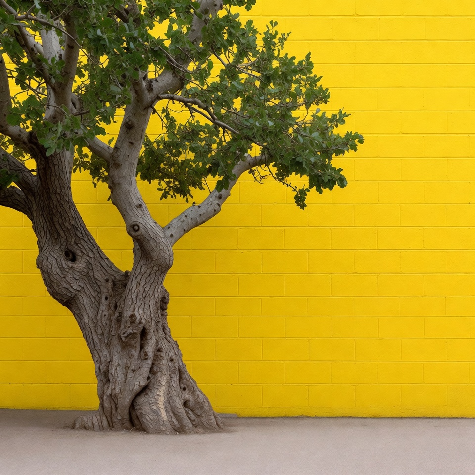 Tree against yellow brick wall Tree against yellow brick wall