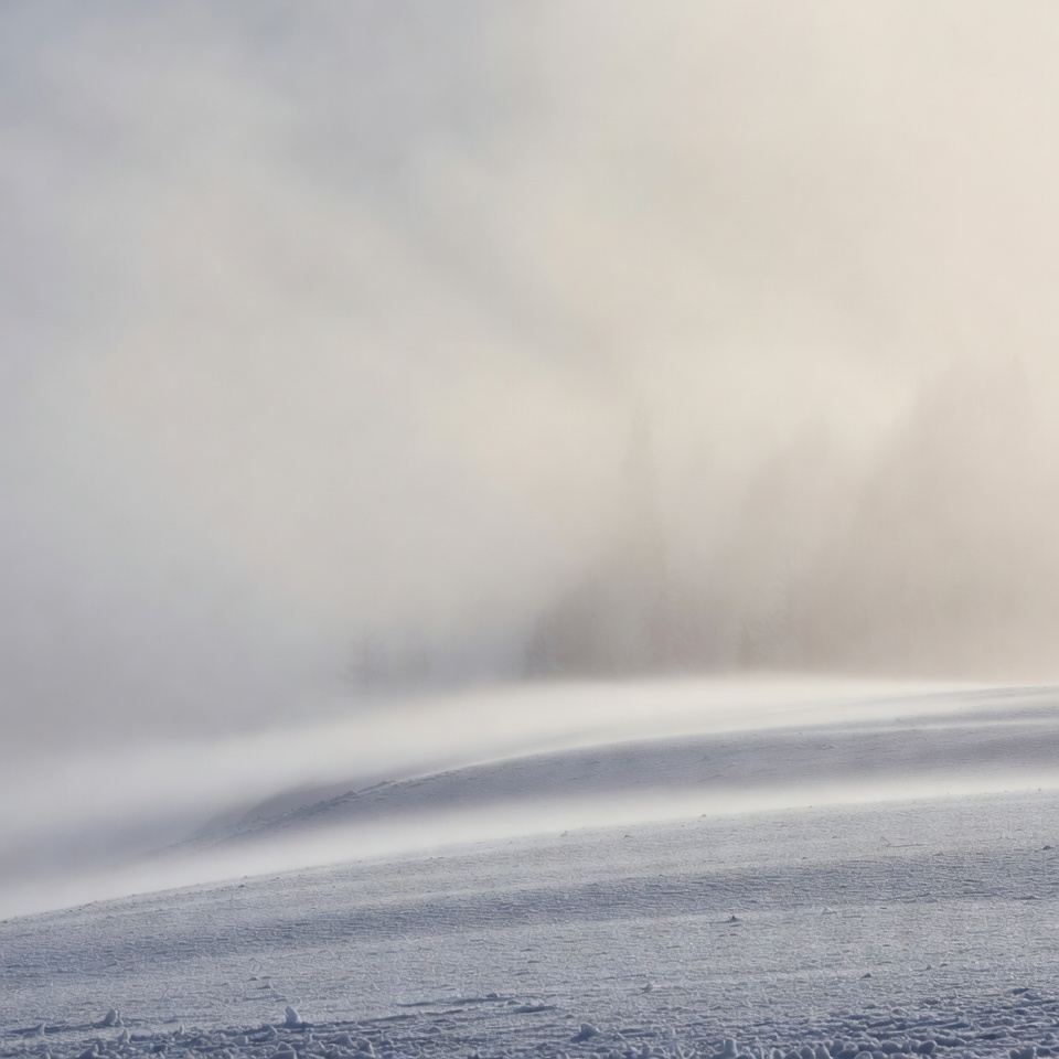 Snowy Landscape in Heavy Fog Snowy Landscape in Heavy Fog