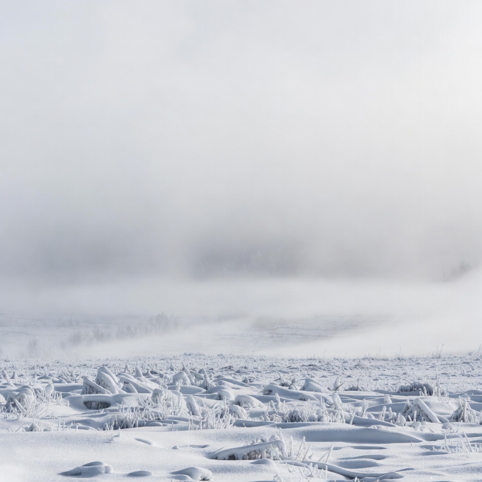Snowy Field in Foggy Landscape Snowy Field in Foggy Landscape