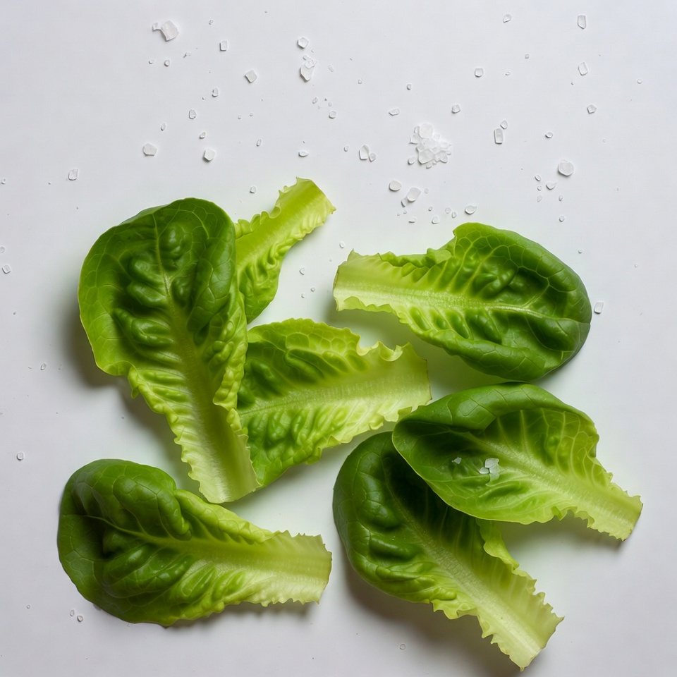 Fresh Lettuce Leaves with Salt Fresh Lettuce Leaves with Salt