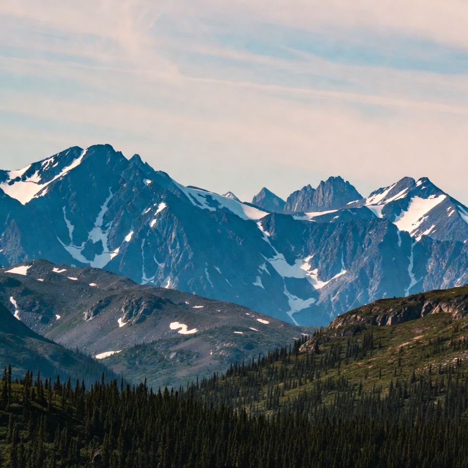 Snowy Mountains with Forest Foreground Snowy Mountains with Forest Foreground