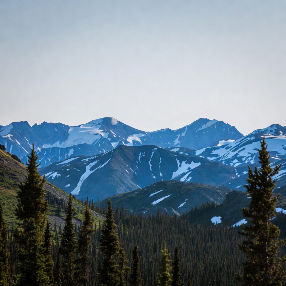 Snowy Mountains with Pine Forest Snowy Mountains with Pine Forest