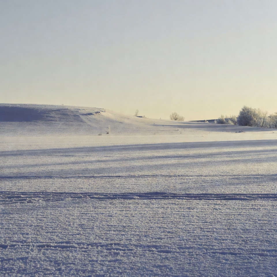 Snowy Field with Tracks and Trees Snowy Field with Tracks and Trees