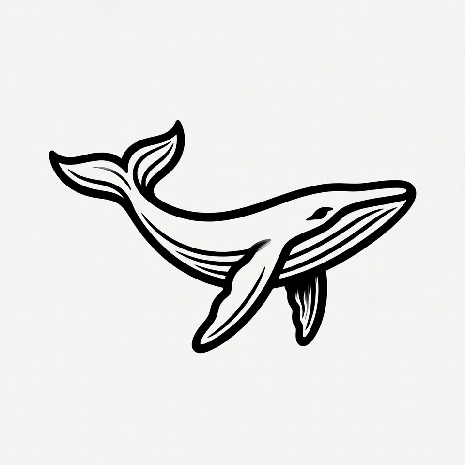 Humpback Whale Illustration Humpback Whale Illustration