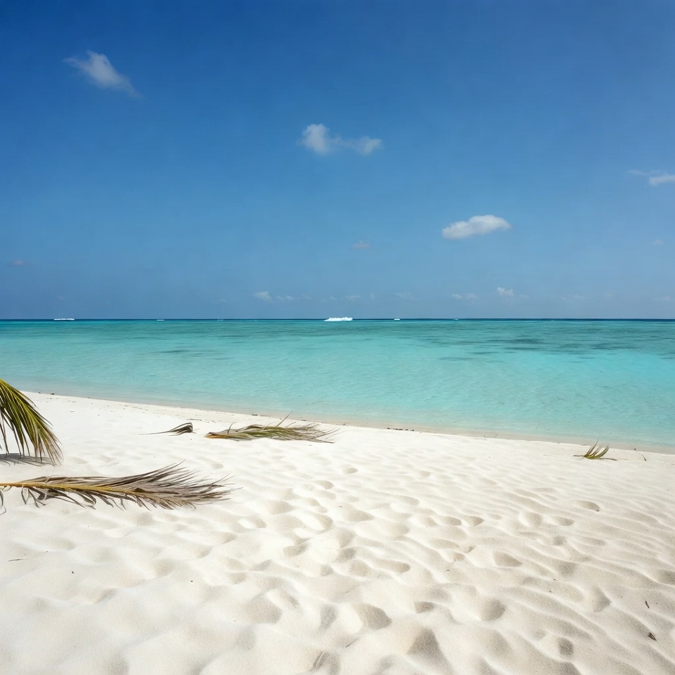 Tropical beach with turquoise ocean Tropical beach with turquoise ocean