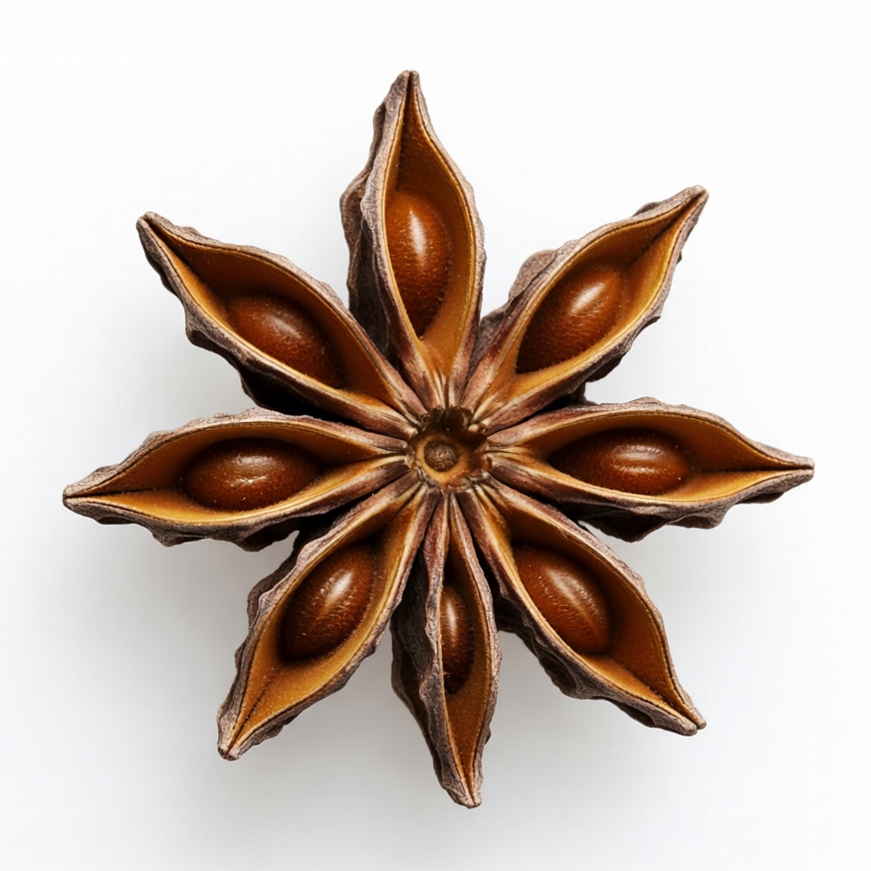 Star Anise Spice Pod Star Anise Spice Pod