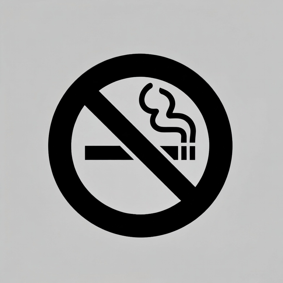 No Smoking Symbol No Smoking Symbol