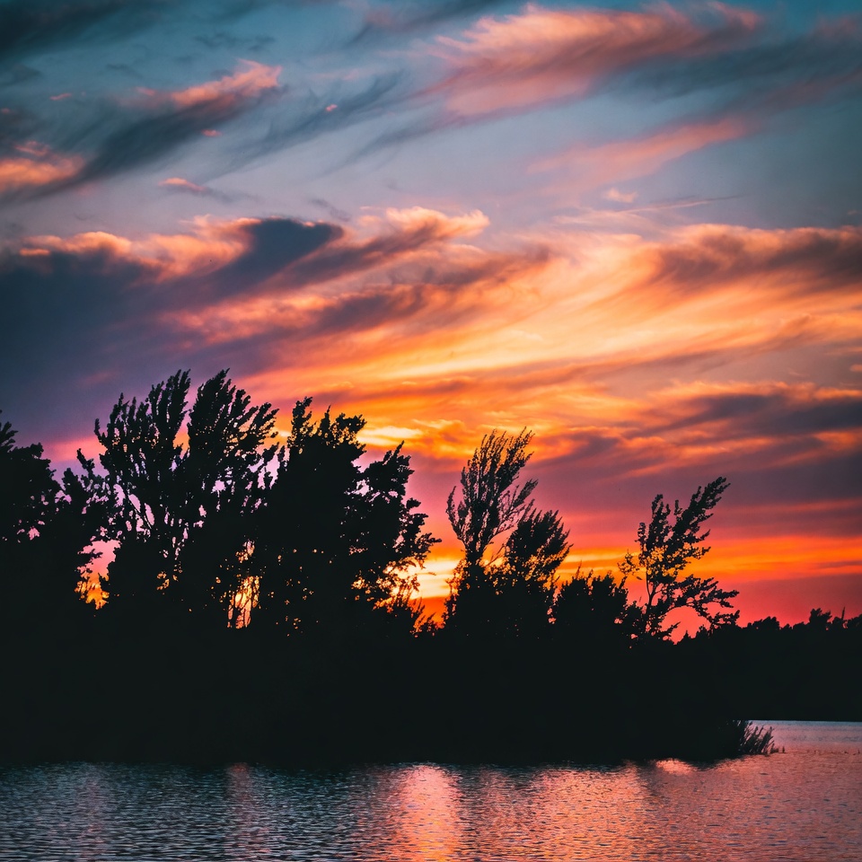Sunset over trees and lake Sunset over trees and lake