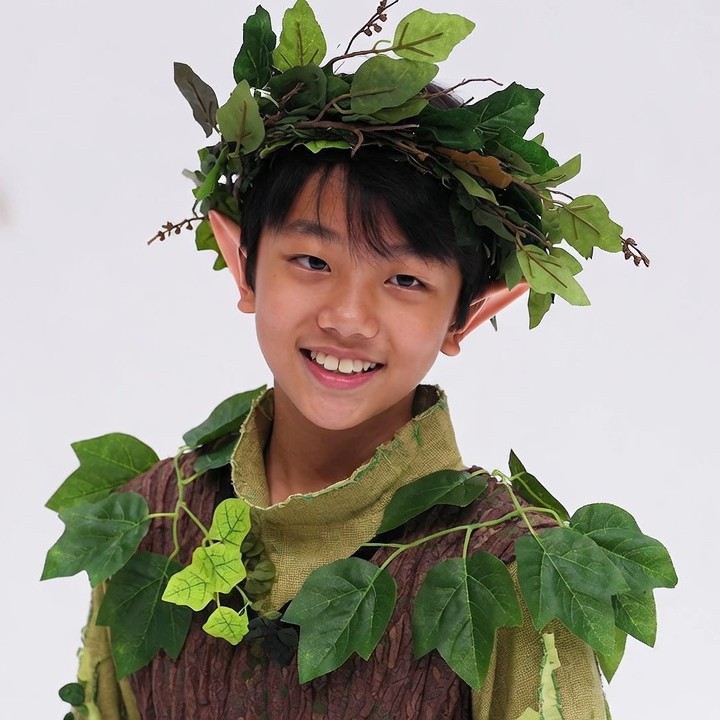Boy in Leafy Elf Costume Boy in Leafy Elf Costume