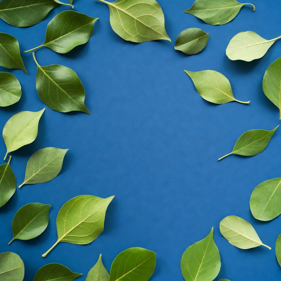 Green leaves arranged on blue background Green leaves arranged on blue background