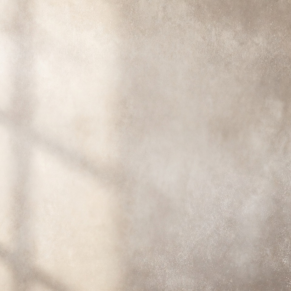 Beige textured wall with window shadows Beige textured wall with window shadows