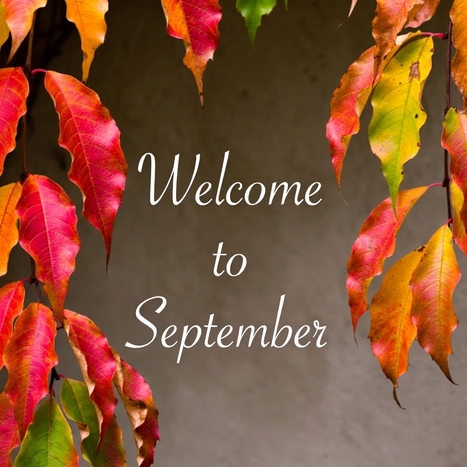 Welcome to September Autumn Leaves Welcome to September Autumn Leaves