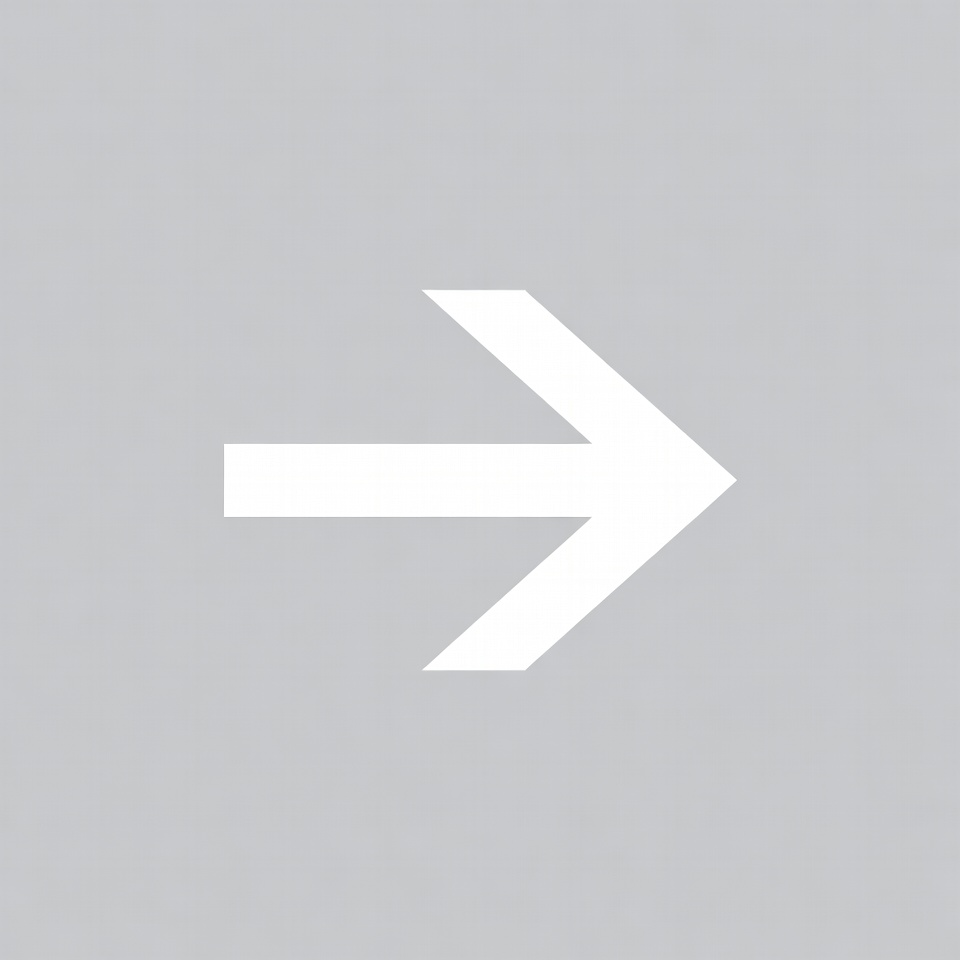 White right arrow icon White right arrow icon