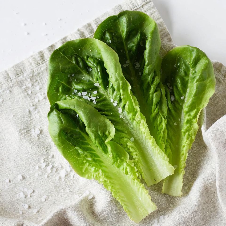 Fresh Lettuce Leaves with Salt Fresh Lettuce Leaves with Salt