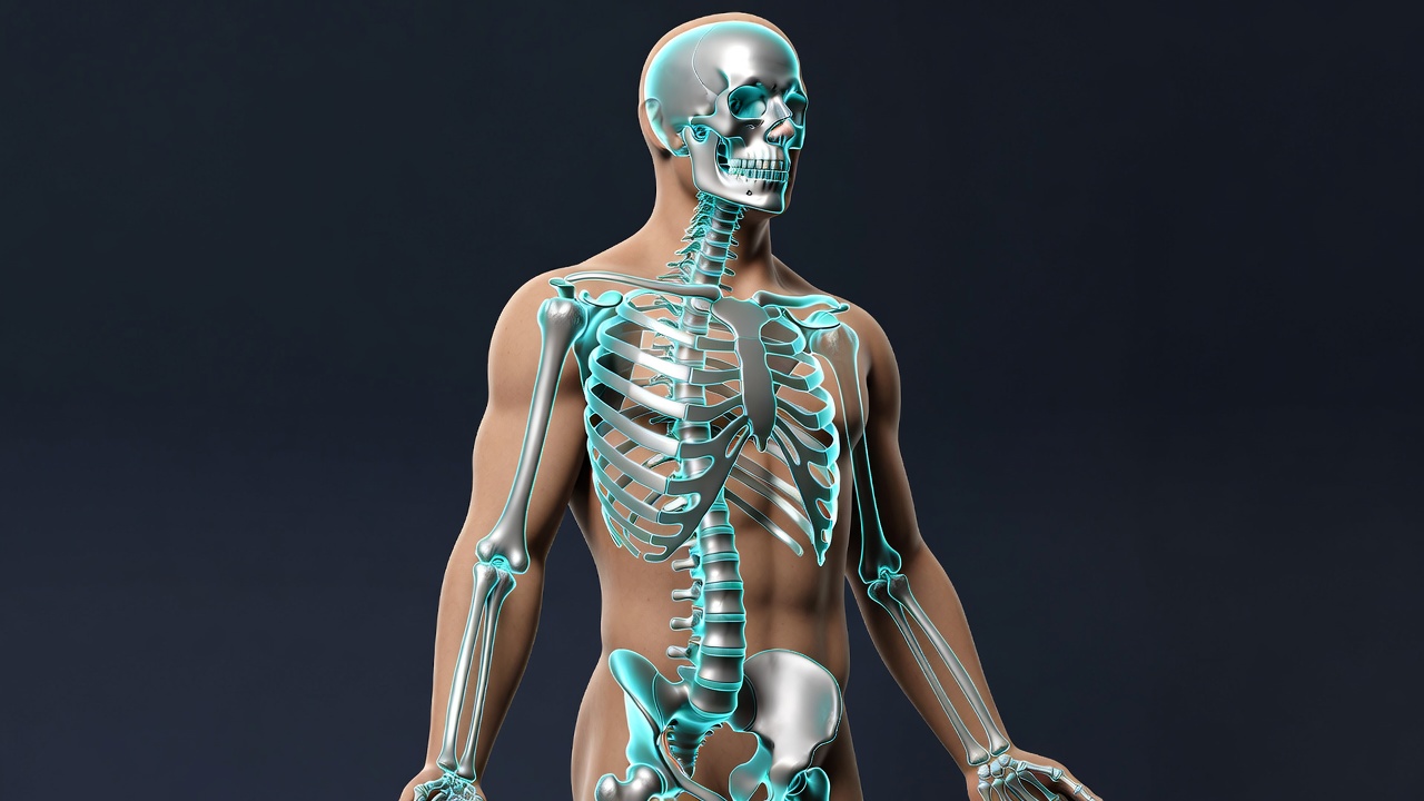 Glowing Blue Human Skeleton Glowing Blue Human Skeleton