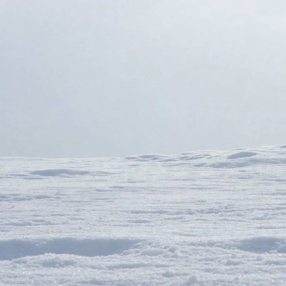 Snowy Landscape with Fresh Snow Snowy Landscape with Fresh Snow