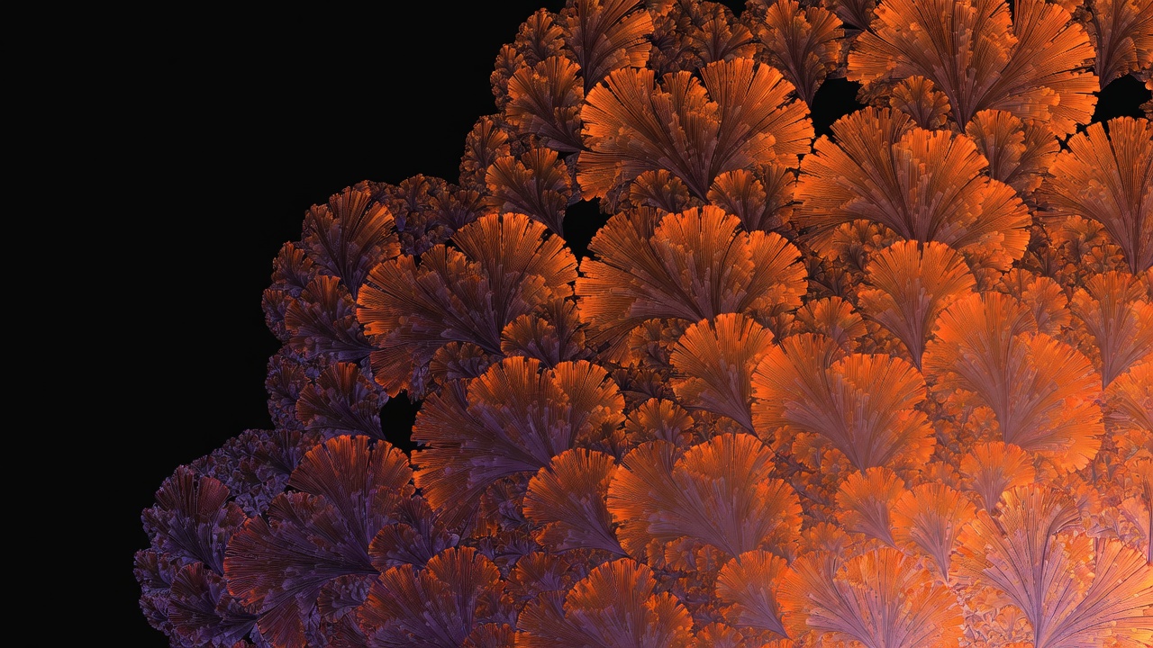 Vibrant Orange Fractal Leaves on Black Vibrant Orange Fractal Leaves on Black