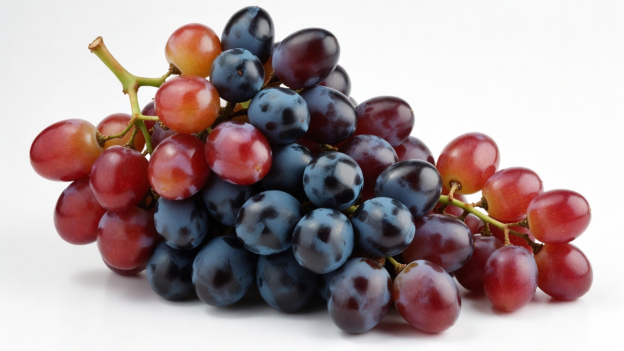 Red and Purple Grapes Bunch Red and Purple Grapes Bunch