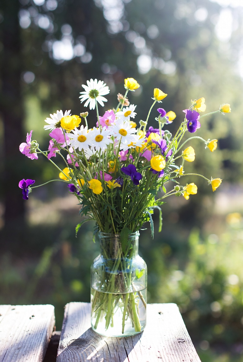 Colorful wildflowers in glass jar Colorful wildflowers in glass jar