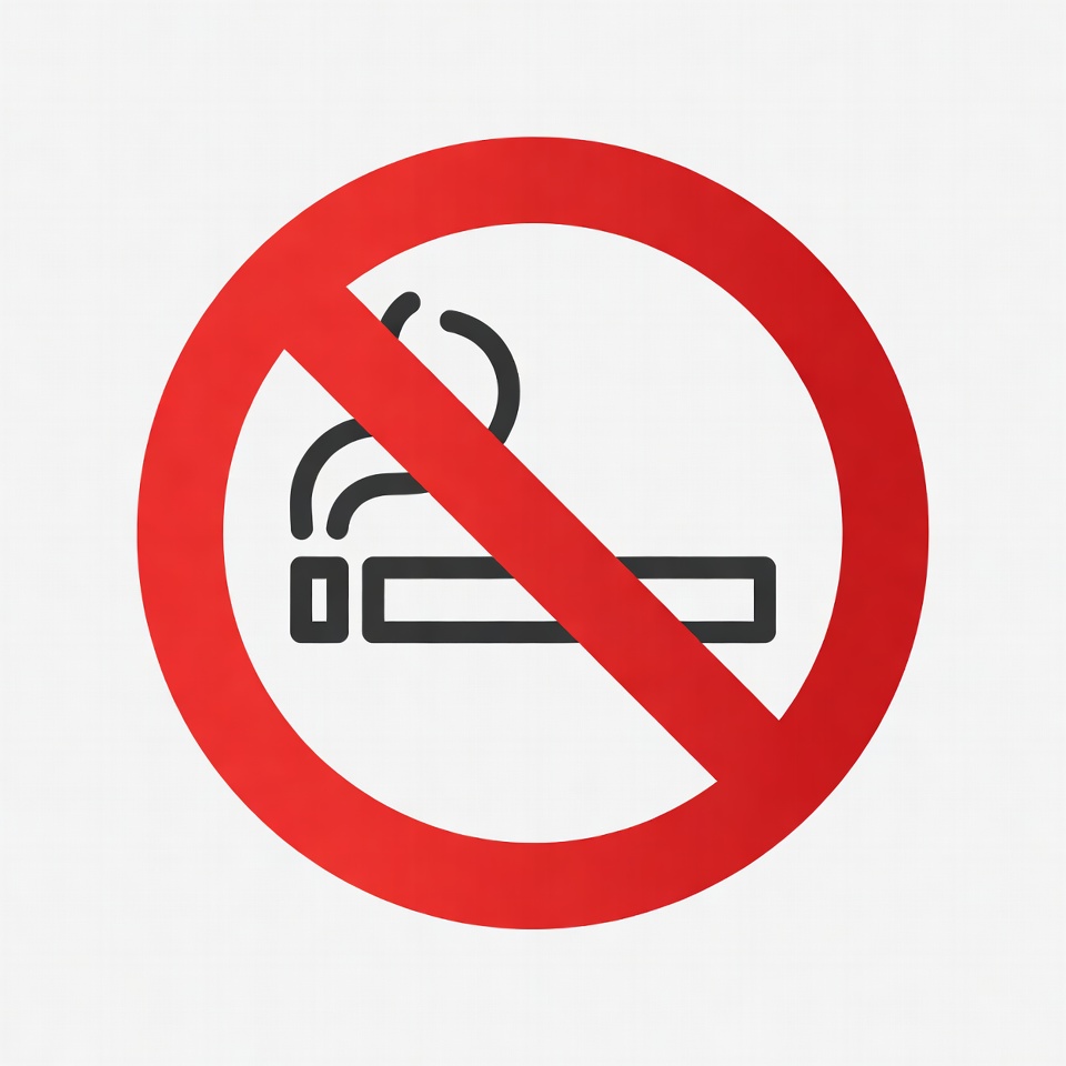 No Smoking Sign No Smoking Sign