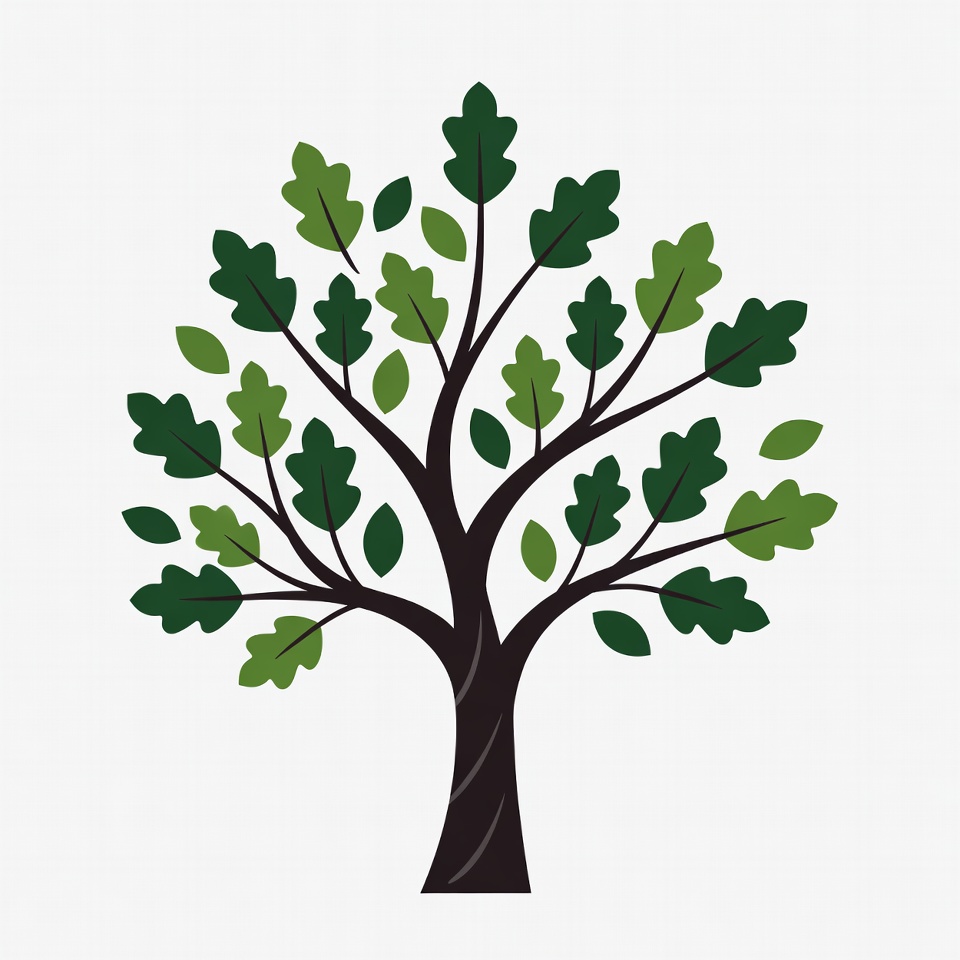 Oak Tree Illustration Oak Tree Illustration