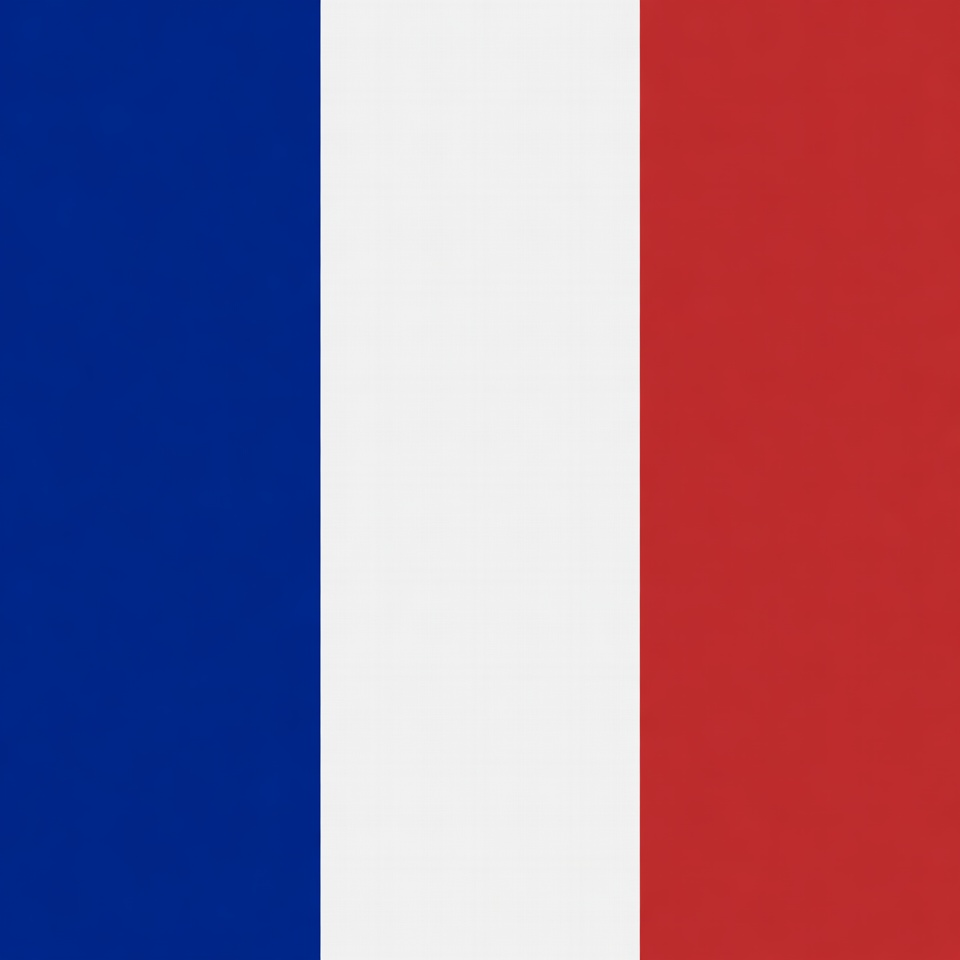 French Flag French Flag