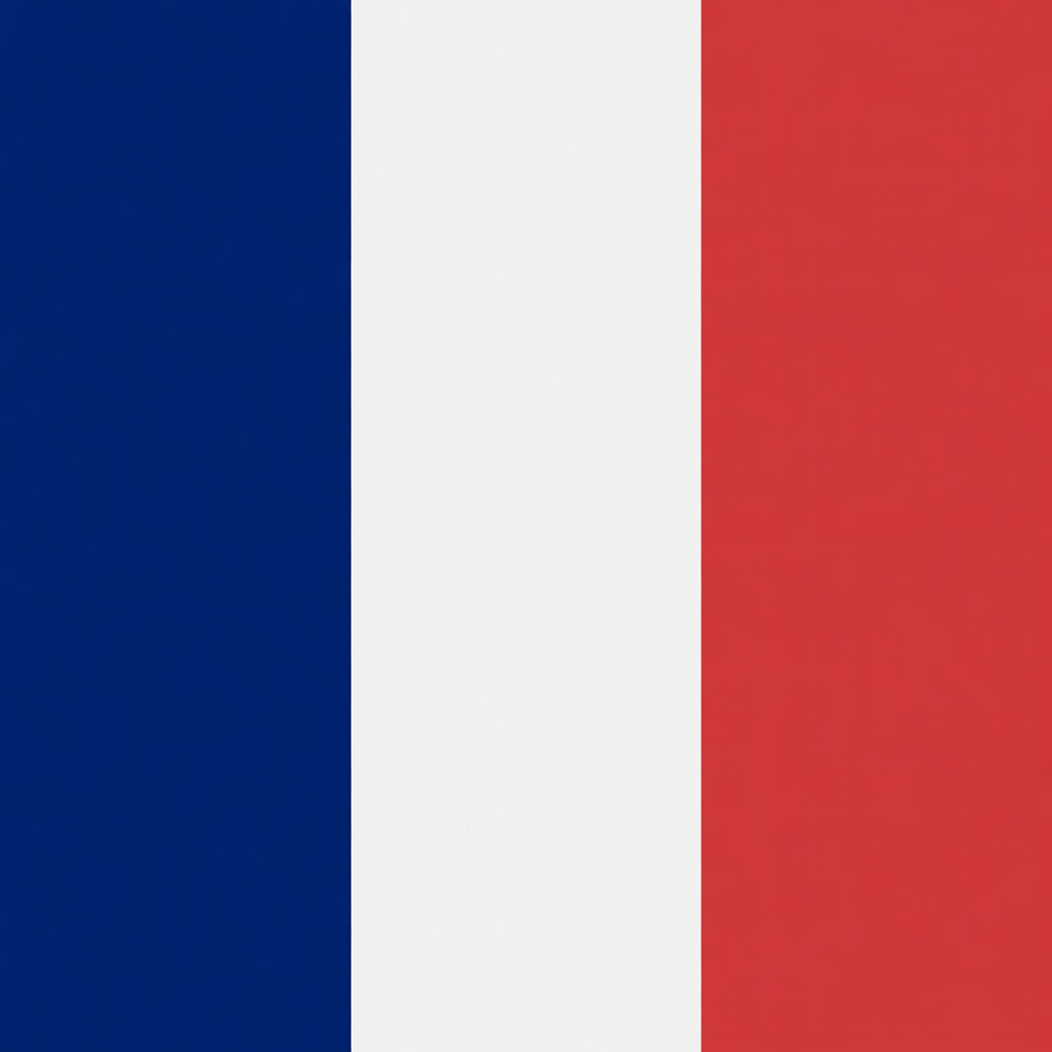 French Flag French Flag