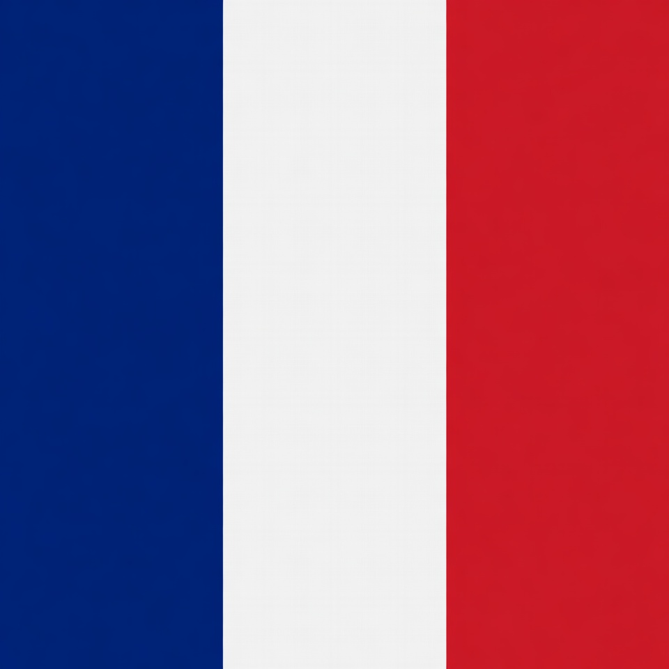 French Flag French Flag