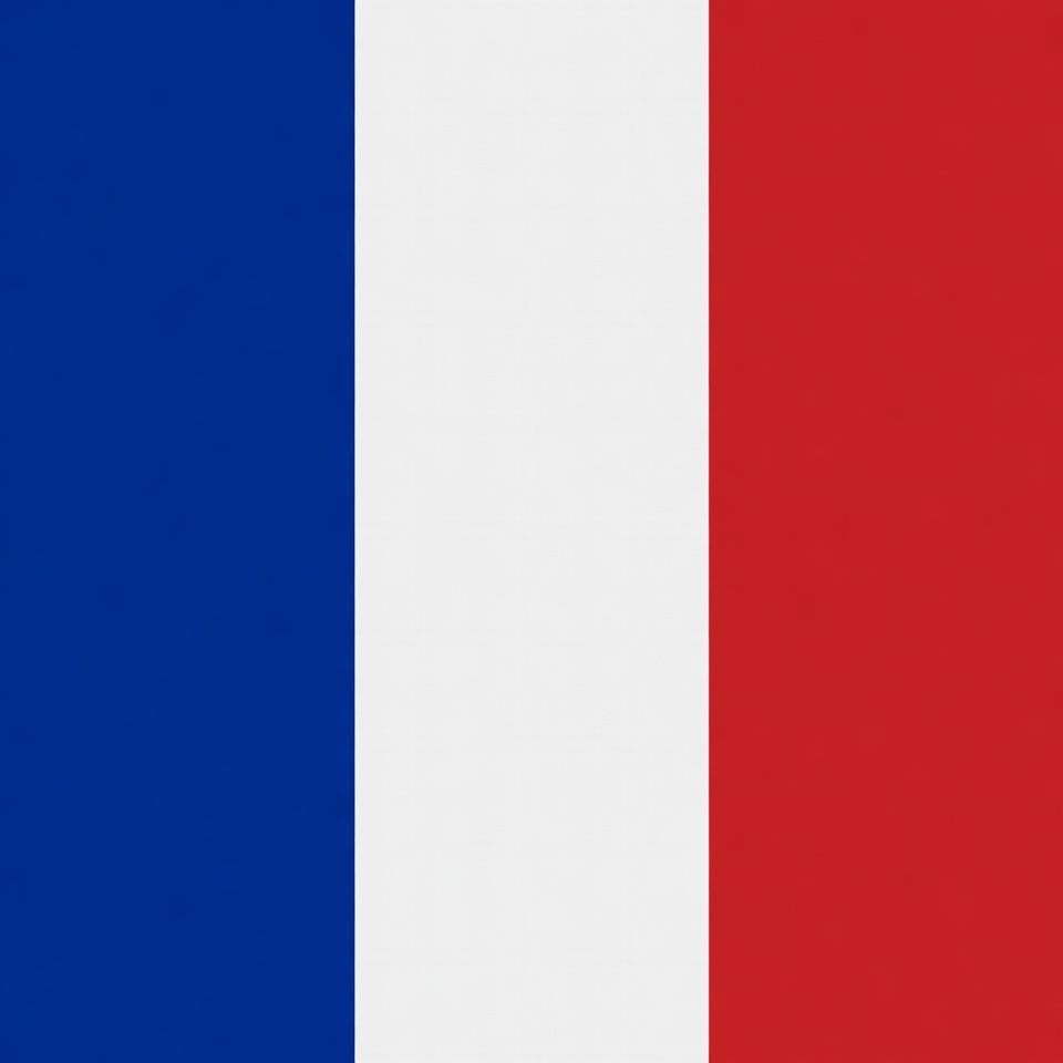 French Flag French Flag