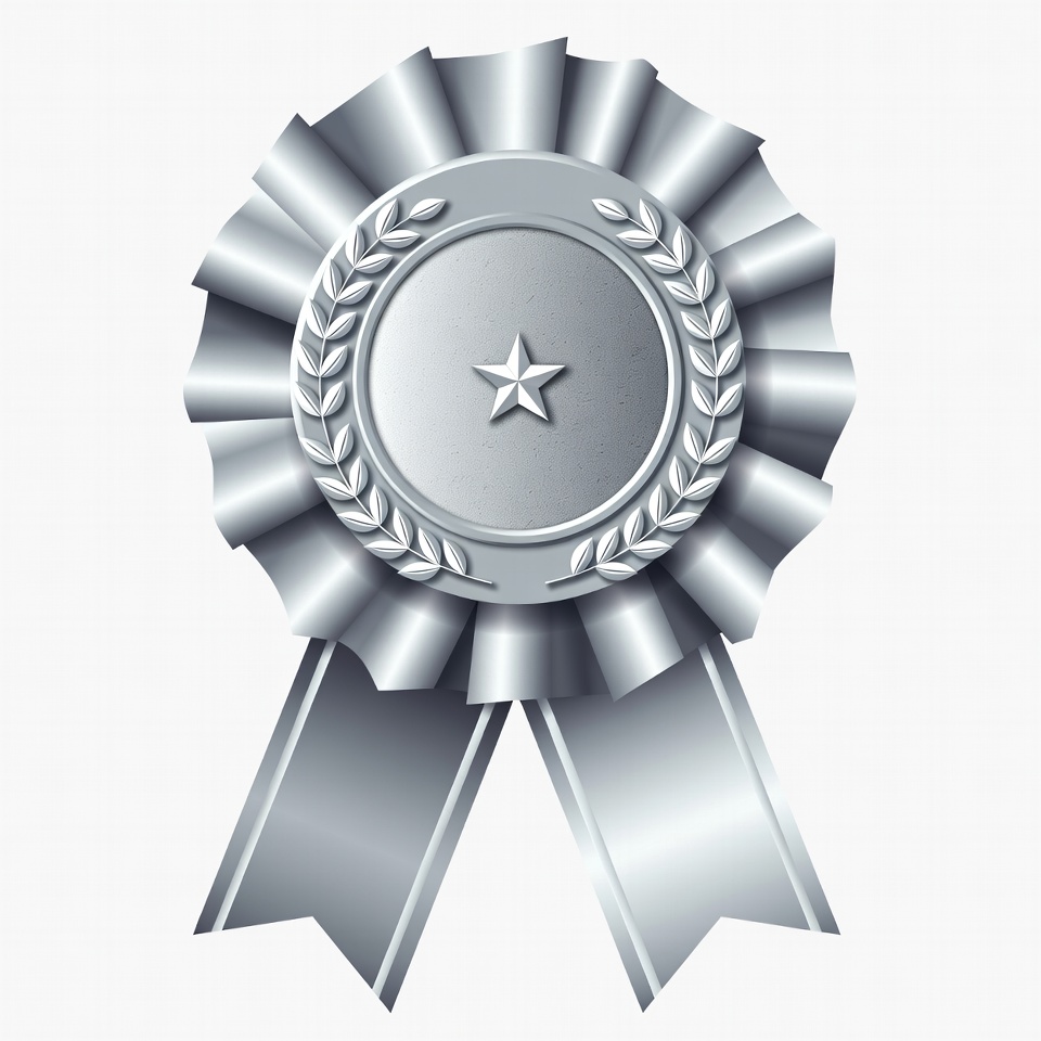 Silver Ribbon Award with Star Silver Ribbon Award with Star
