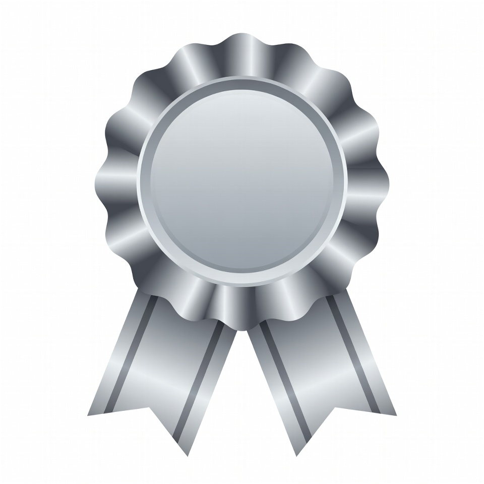 Silver Blank Ribbon Award Silver Blank Ribbon Award