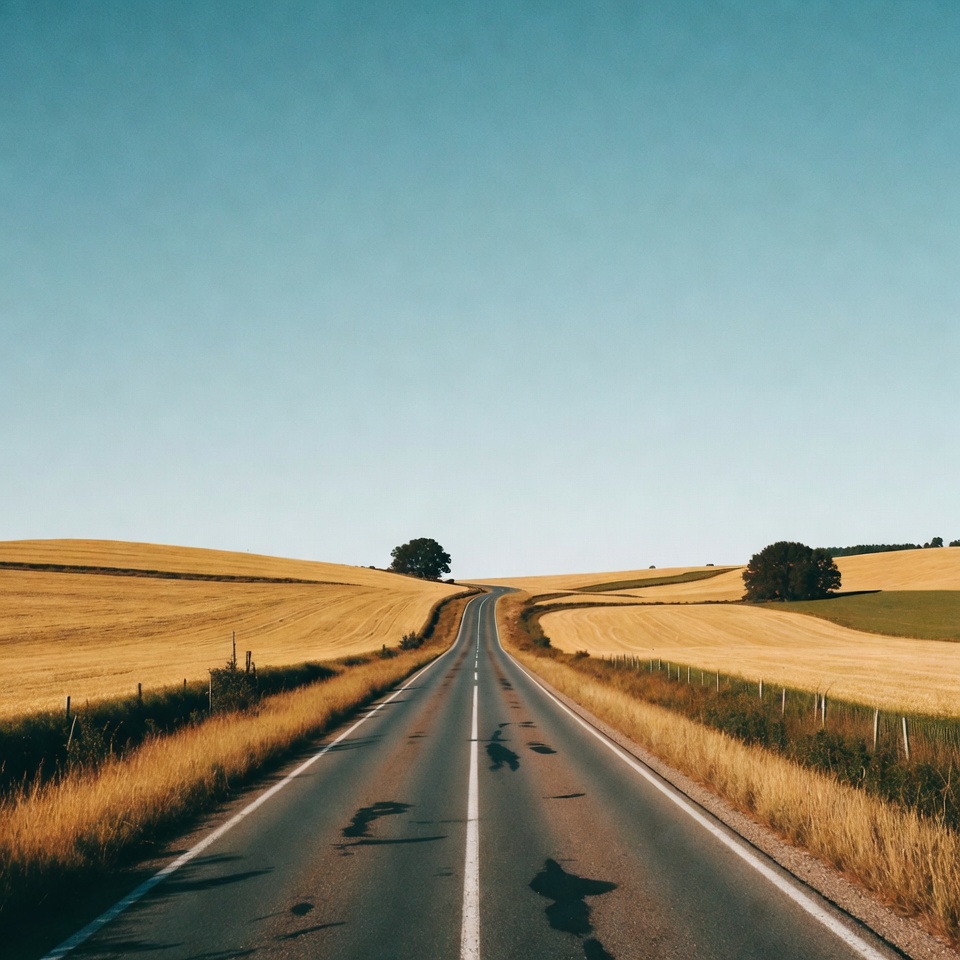 Long road through golden wheat fields Long road through golden wheat fields