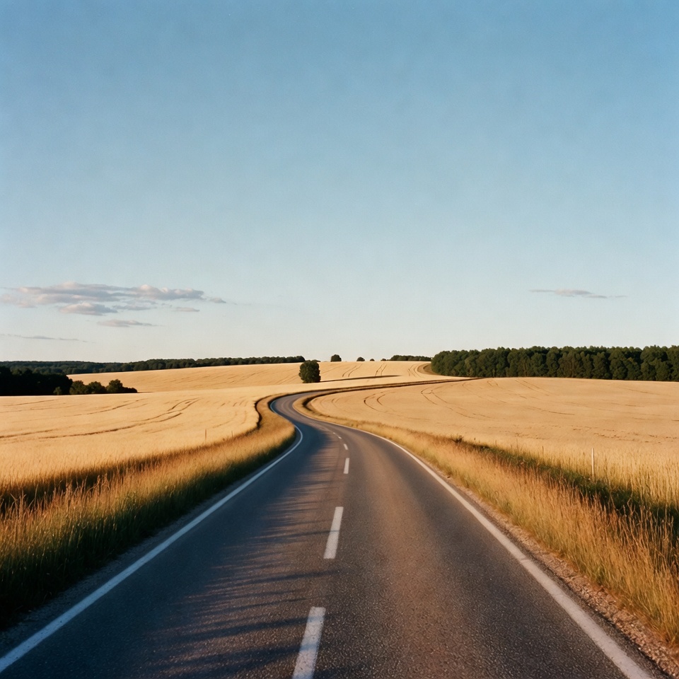 Curvy road through golden wheat fields Curvy road through golden wheat fields