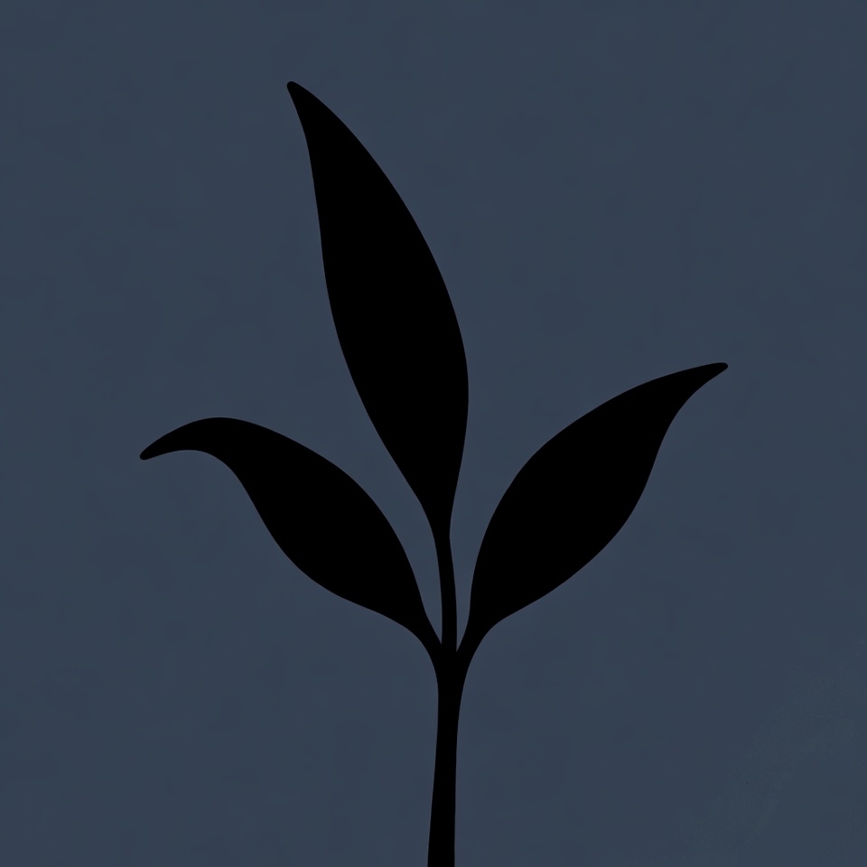 Black Silhouette Three Leaf Plant Black Silhouette Three Leaf Plant