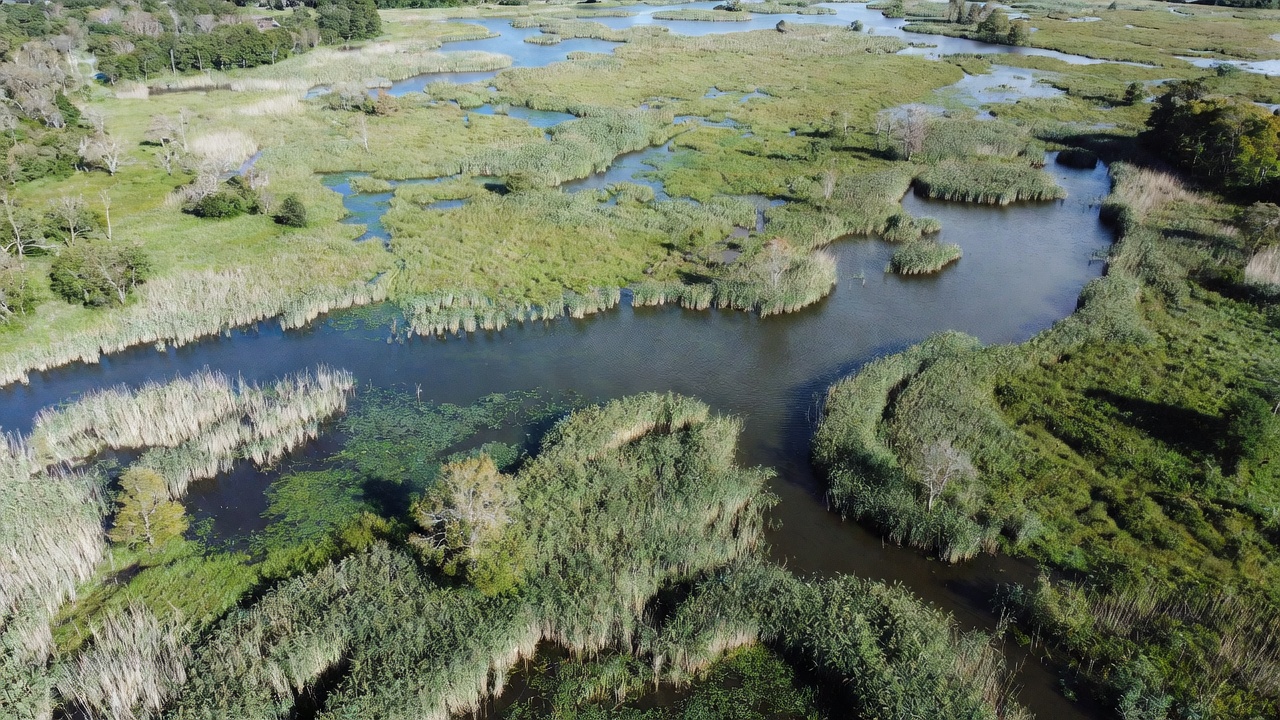 Aerial View of Marshland Wetlands Aerial View of Marshland Wetlands