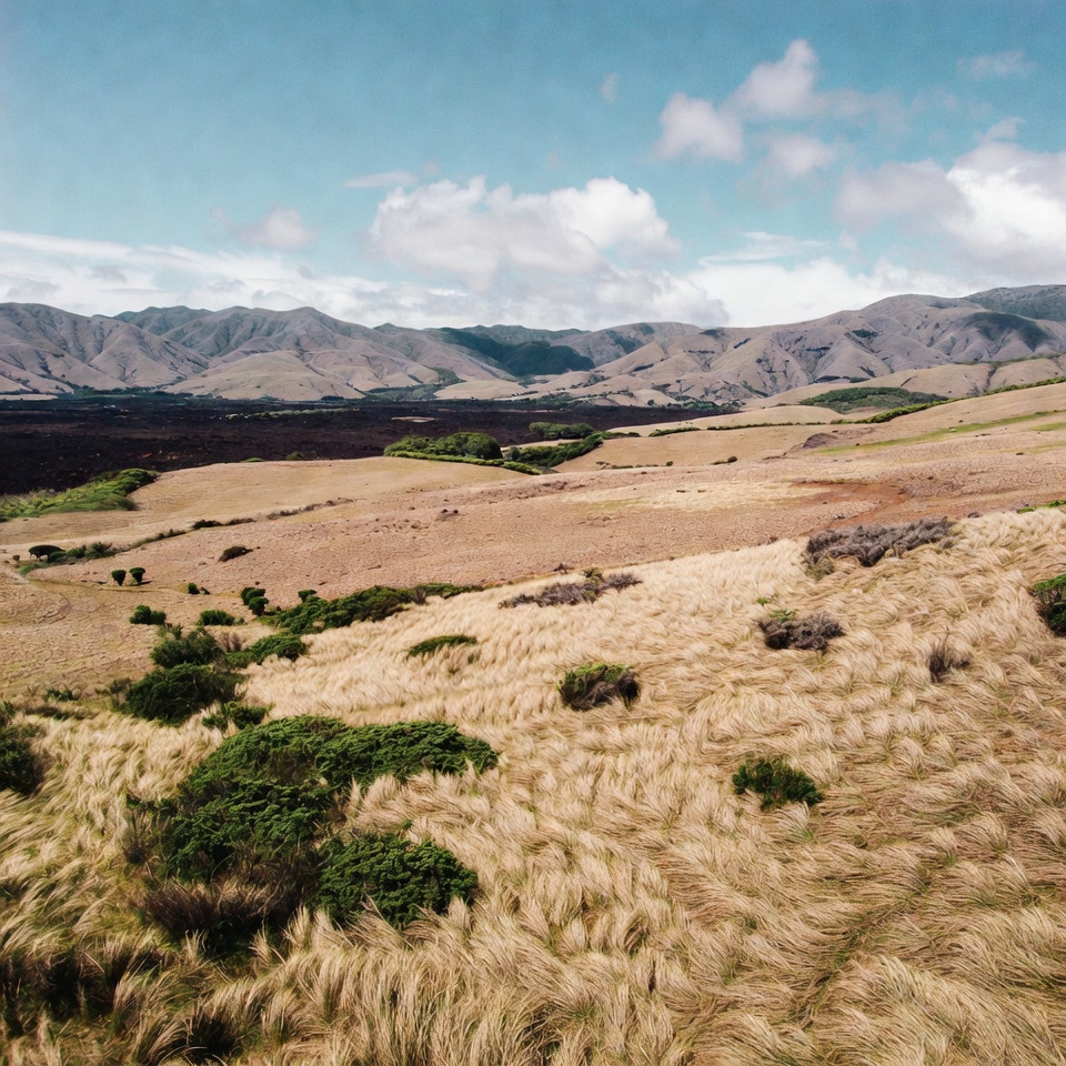 Grassy Hills with Distant Mountains Grassy Hills with Distant Mountains