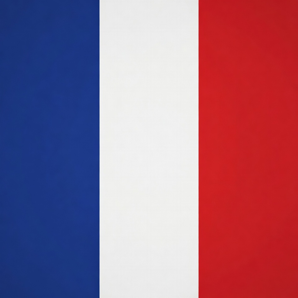 French Flag French Flag